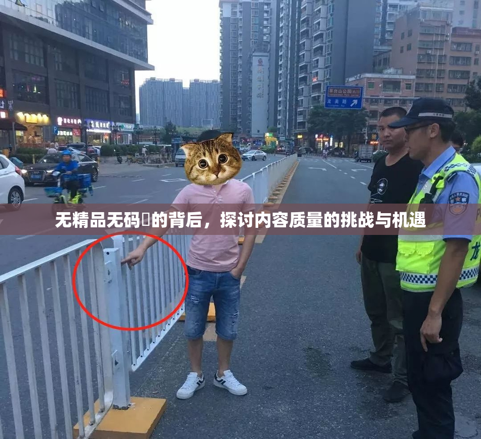 无精品无码囯的背后，探讨内容质量的挑战与机遇