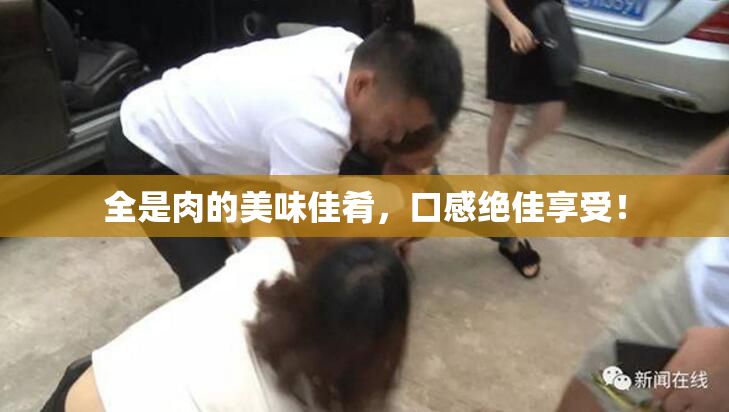 全是肉的美味佳肴，口感绝佳享受！