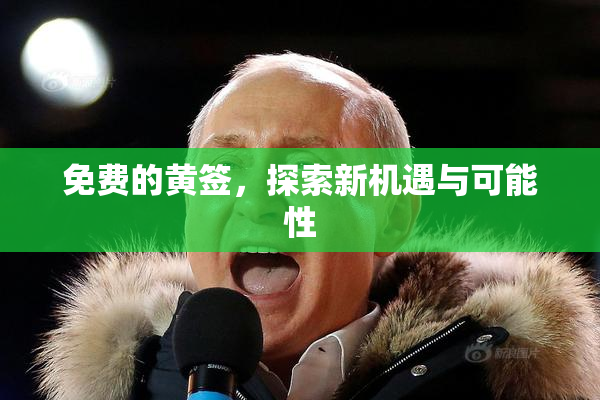 免费的黄签，探索新机遇与可能性