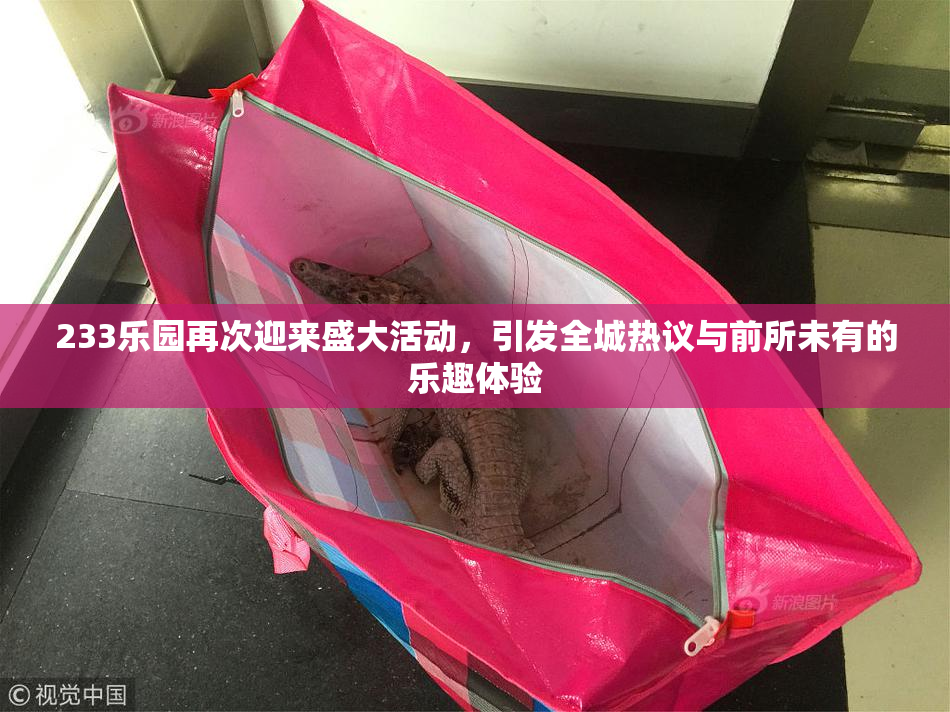 233乐园再次迎来盛大活动，引发全城热议与前所未有的乐趣体验