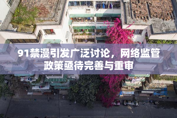 91禁漫引发广泛讨论，网络监管政策亟待完善与重审