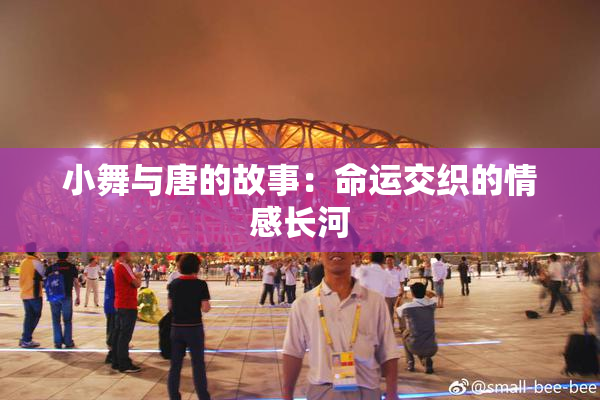 小舞与唐的故事：命运交织的情感长河