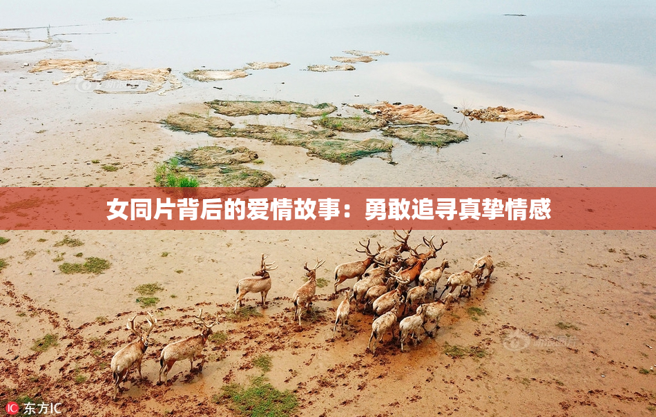 女同片背后的爱情故事：勇敢追寻真挚情感