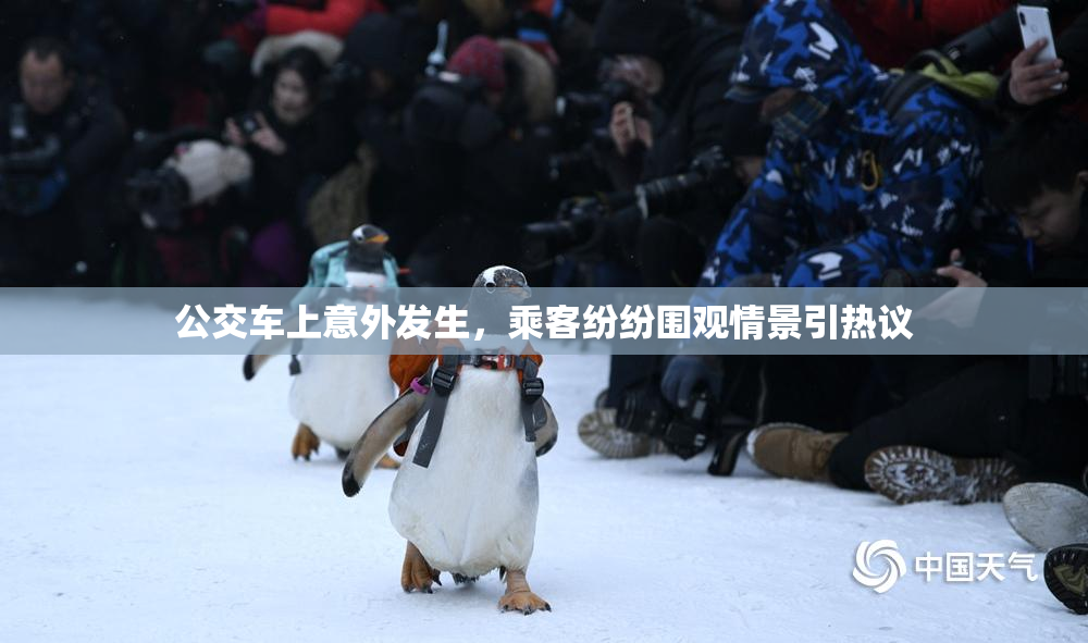 公交车上意外发生，乘客纷纷围观情景引热议