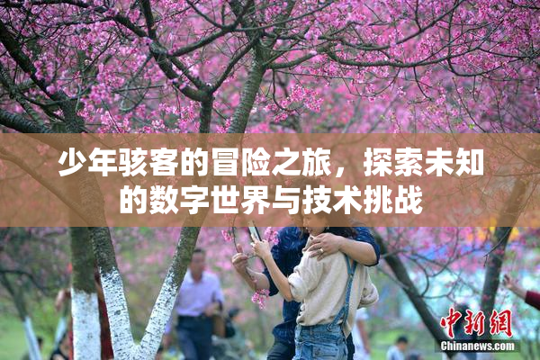 少年骇客的冒险之旅，探索未知的数字世界与技术挑战