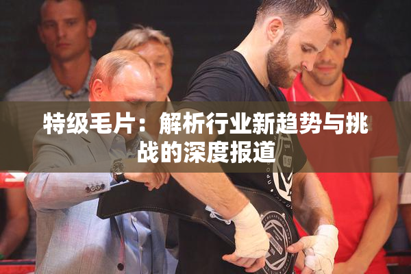 特级毛片：解析行业新趋势与挑战的深度报道
