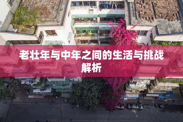 老壮年与中年之间的生活与挑战解析
