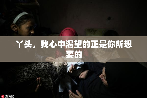 丫头，我心中渴望的正是你所想要的