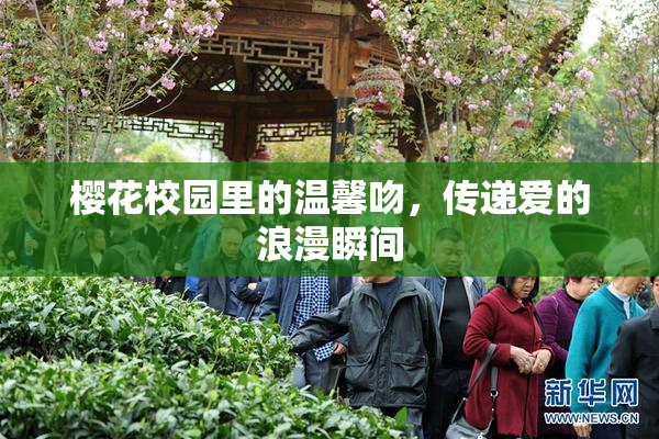 樱花校园里的温馨吻，传递爱的浪漫瞬间