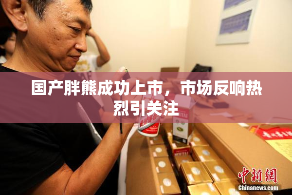 国产胖熊成功上市，市场反响热烈引关注