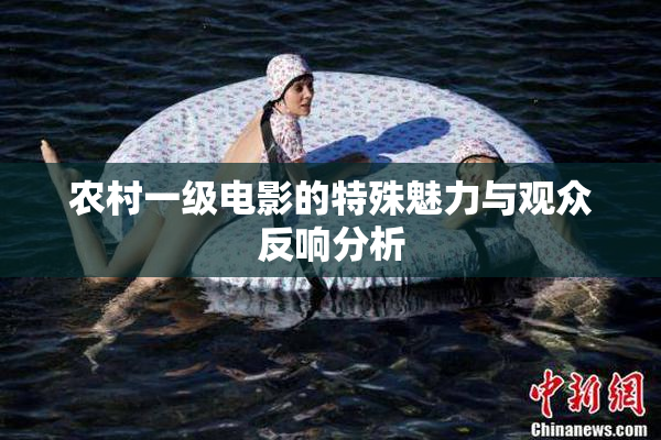 农村一级电影的特殊魅力与观众反响分析