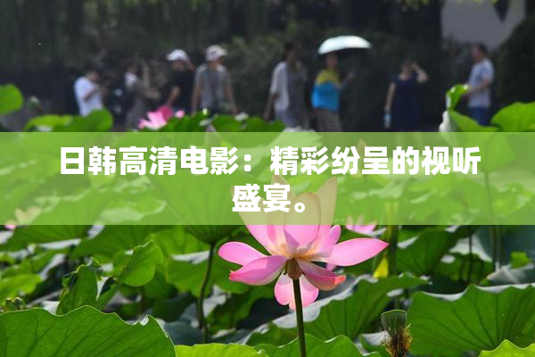 日韩高清电影：精彩纷呈的视听盛宴。