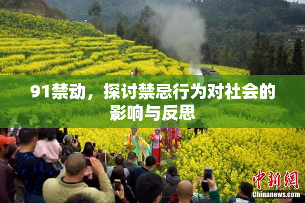91禁动，探讨禁忌行为对社会的影响与反思