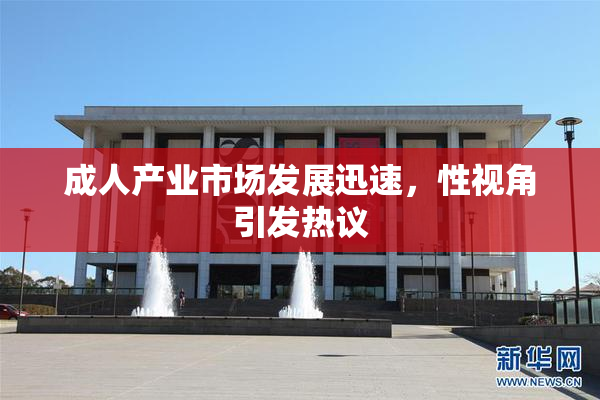 成人产业市场发展迅速，性视角引发热议
