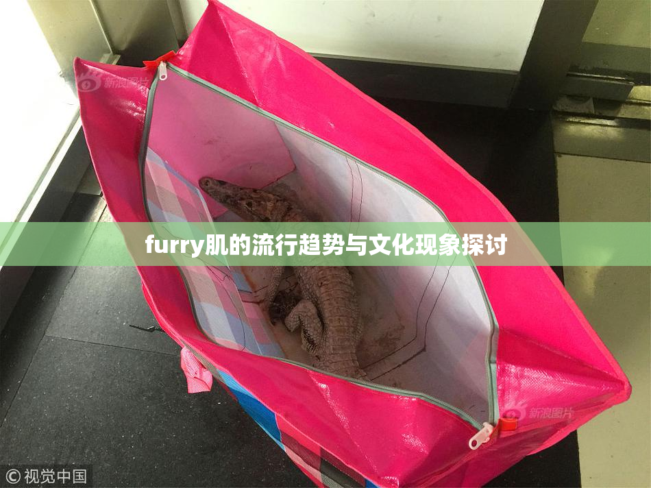 furry肌的流行趋势与文化现象探讨
