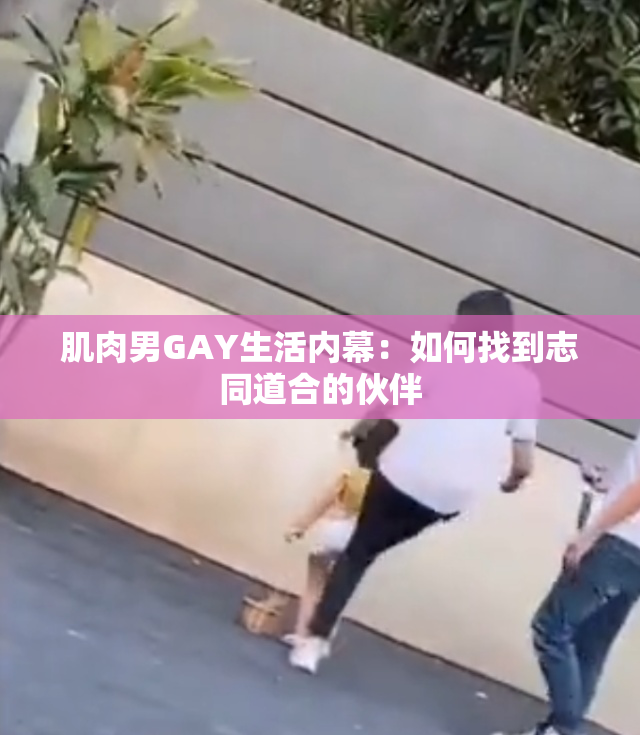 肌肉男GAY生活内幕：如何找到志同道合的伙伴