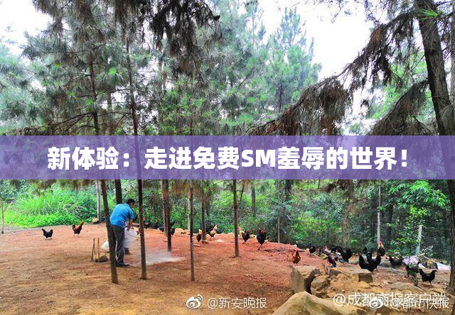 新体验：走进免费SM羞辱的世界！