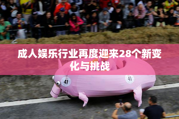 成人娱乐行业再度迎来28个新变化与挑战