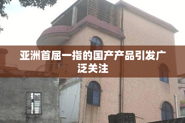 亚洲首屈一指的国产产品引发广泛关注