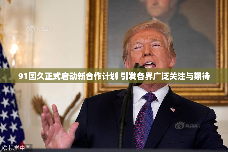 91国久正式启动新合作计划 引发各界广泛关注与期待