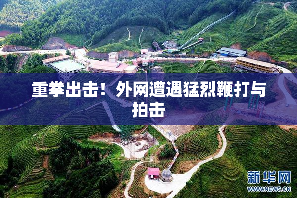 重拳出击！外网遭遇猛烈鞭打与拍击