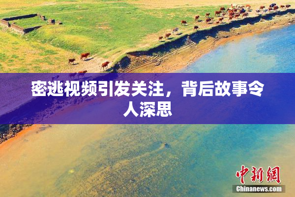 密逃视频引发关注，背后故事令人深思