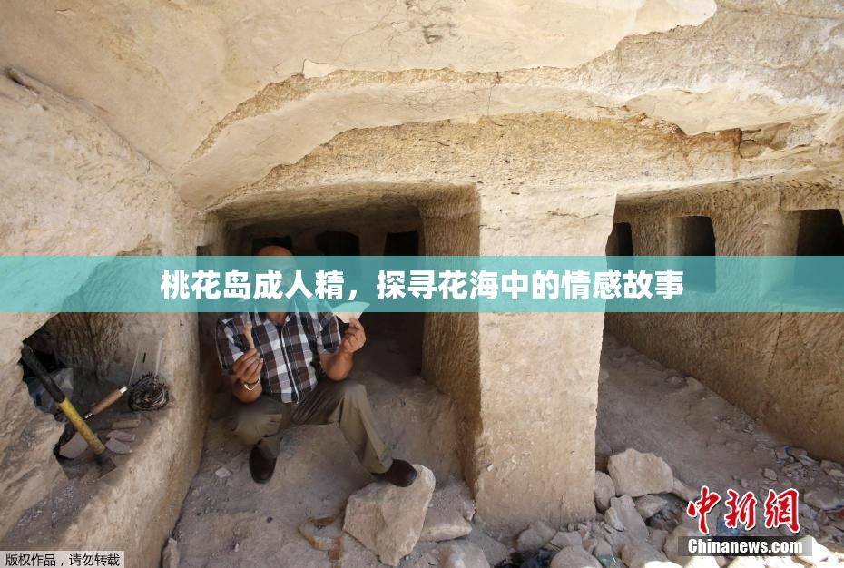 桃花岛成人精，探寻花海中的情感故事
