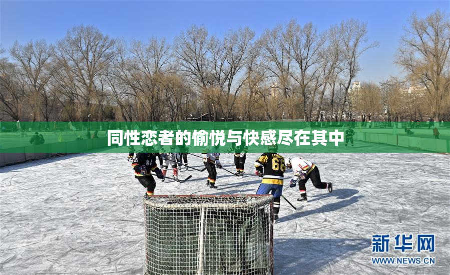 同性恋者的愉悦与快感尽在其中