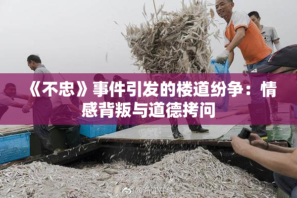 《不忠》事件引发的楼道纷争：情感背叛与道德拷问