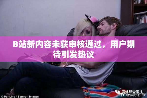B站新内容未获审核通过，用户期待引发热议