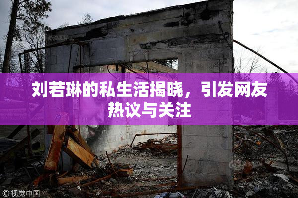 刘若琳的私生活揭晓，引发网友热议与关注