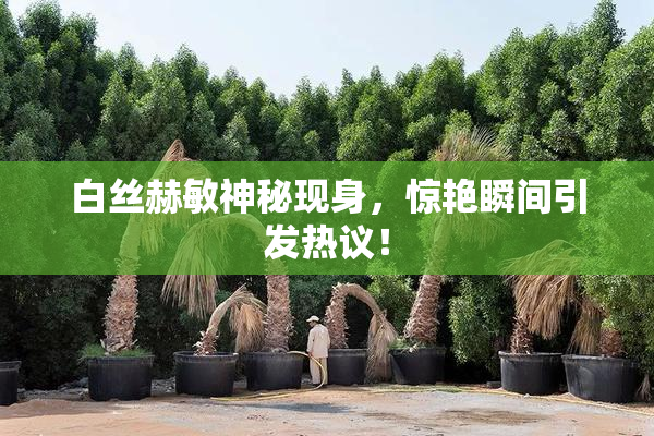 白丝赫敏神秘现身，惊艳瞬间引发热议！