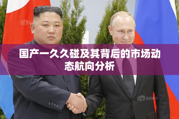 国产一久久碰及其背后的市场动态航向分析