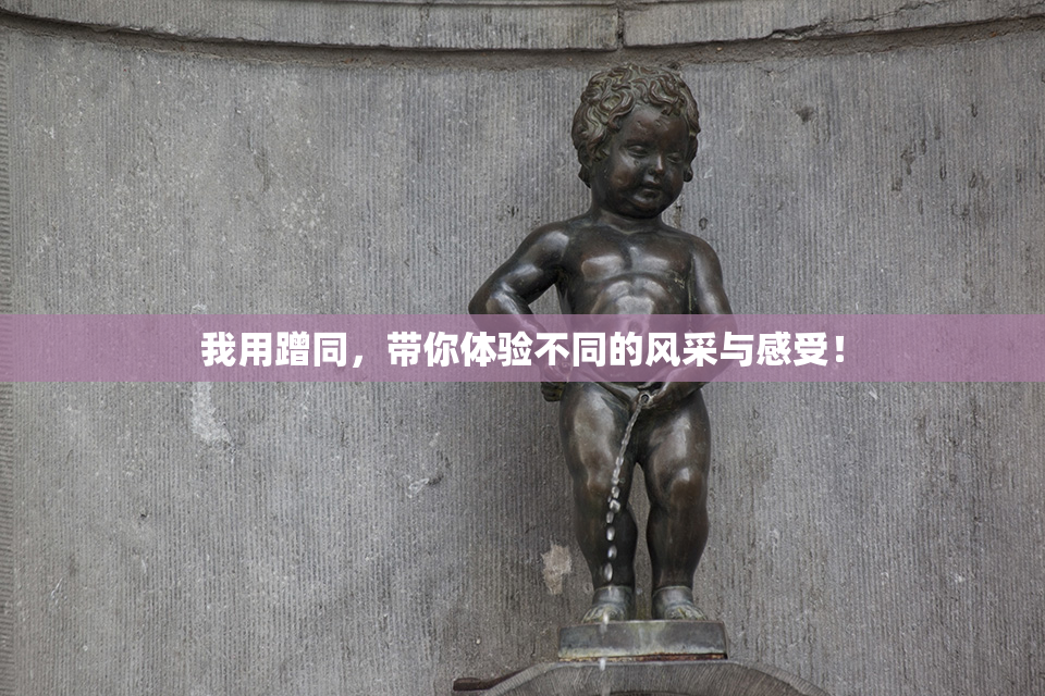 我用蹭同，带你体验不同的风采与感受！