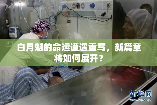 白月魁的命运遭遇重写，新篇章将如何展开？