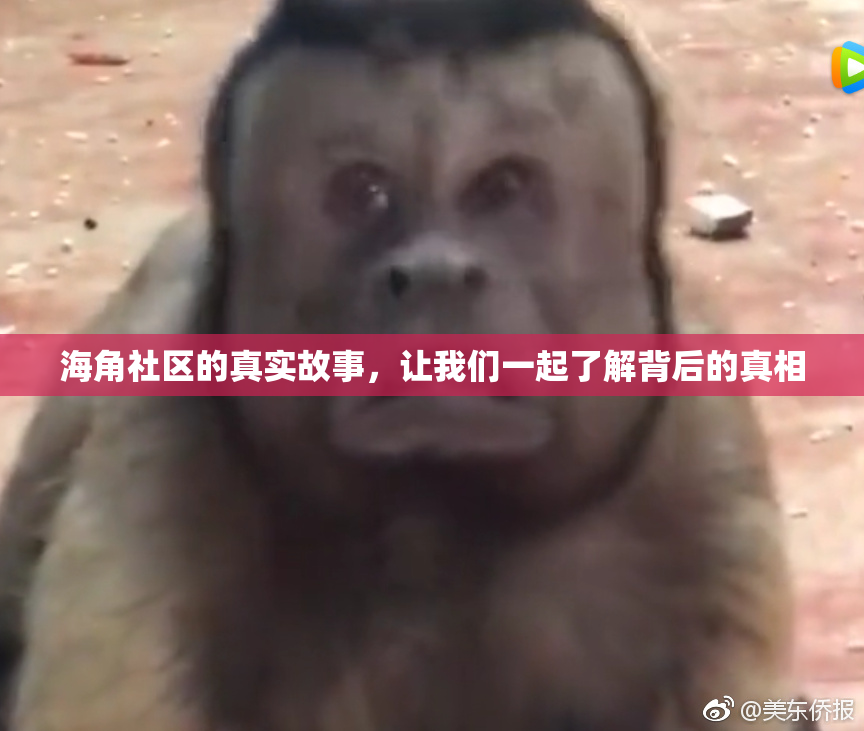 海角社区的真实故事，让我们一起了解背后的真相