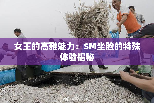 女王的高雅魅力：SM坐脸的特殊体验揭秘