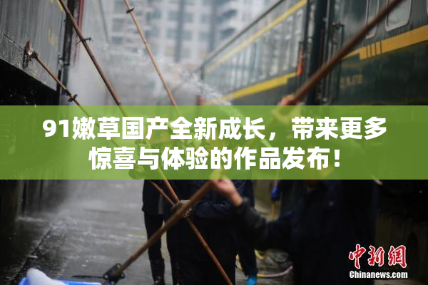 91嫩草国产全新成长，带来更多惊喜与体验的作品发布！