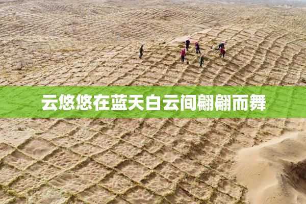 云悠悠在蓝天白云间翩翩而舞