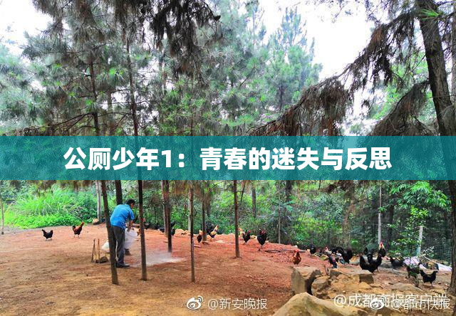 公厕少年1：青春的迷失与反思