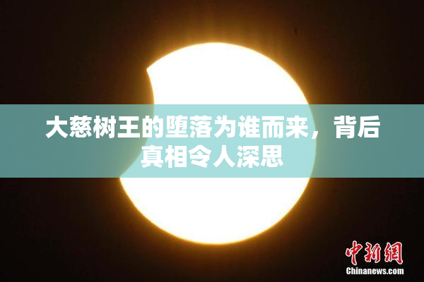 大慈树王的堕落为谁而来，背后真相令人深思
