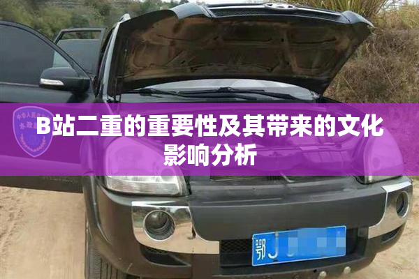 B站二重的重要性及其带来的文化影响分析