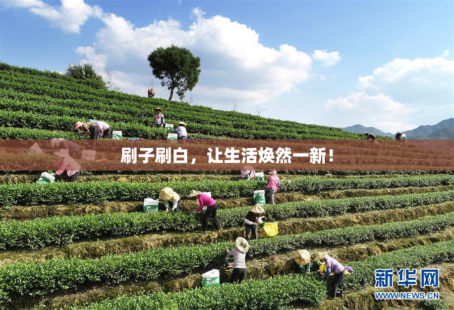 刷子刷白，让生活焕然一新！