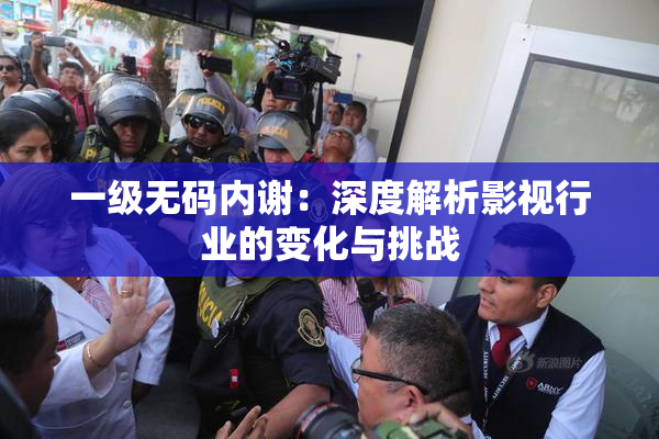 一级无码内谢：深度解析影视行业的变化与挑战
