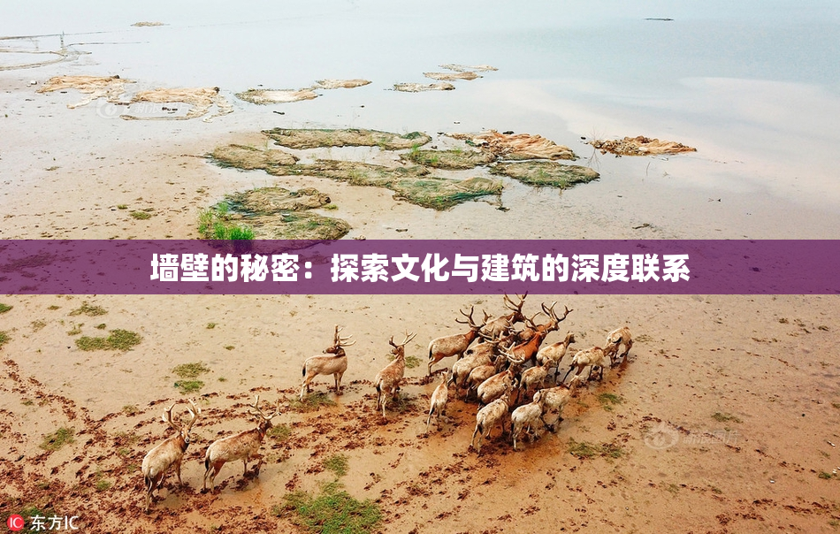 墙壁的秘密：探索文化与建筑的深度联系