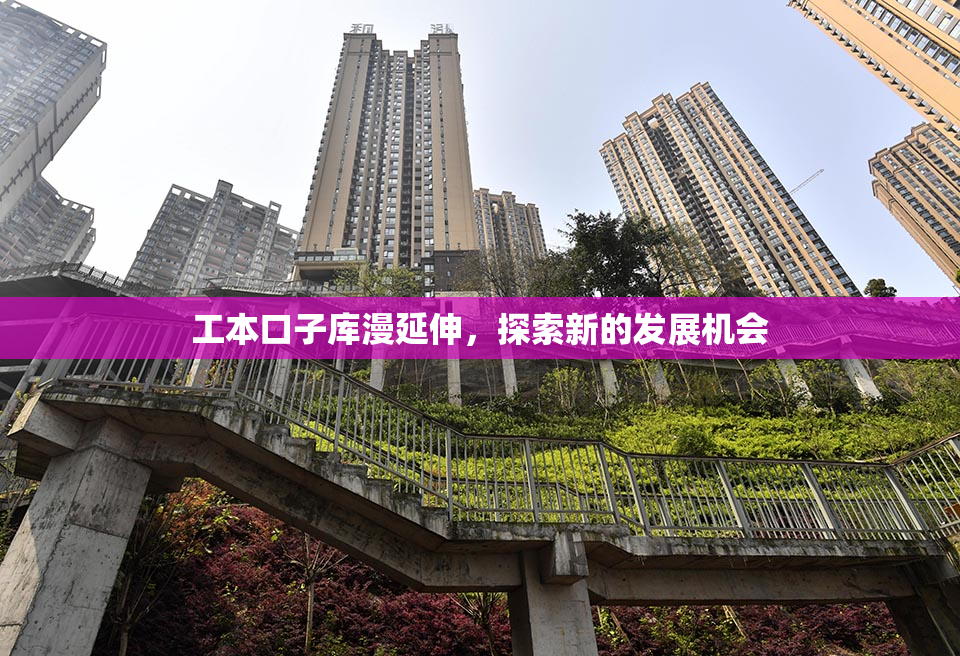 工本口子库漫延伸，探索新的发展机会