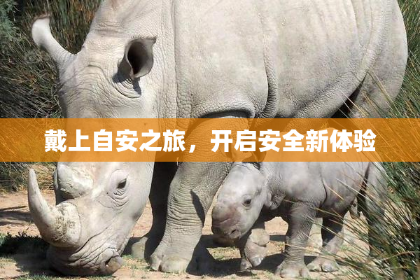 戴上自安之旅，开启安全新体验