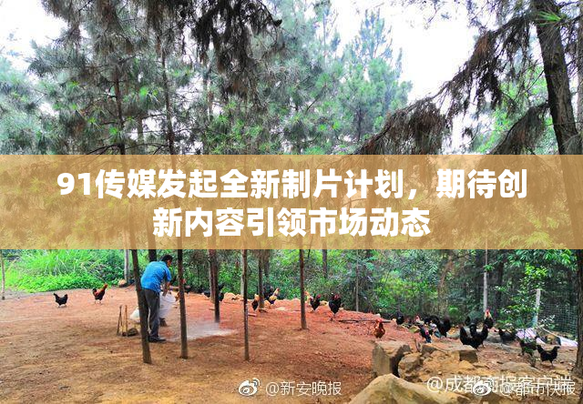 91传媒发起全新制片计划，期待创新内容引领市场动态
