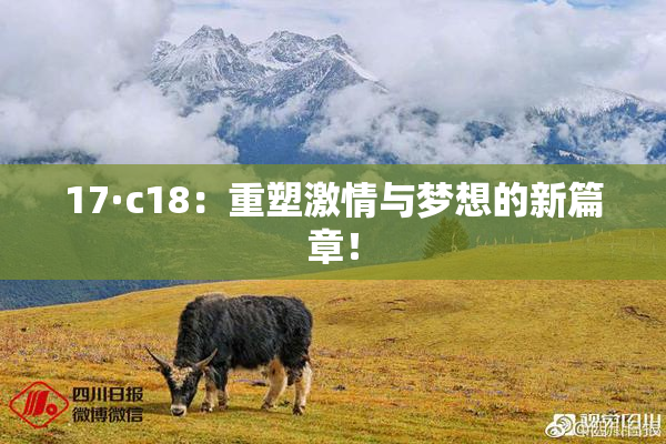 17·c18：重塑激情与梦想的新篇章！