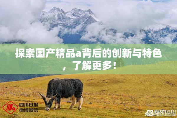 探索国产精品a背后的创新与特色，了解更多！